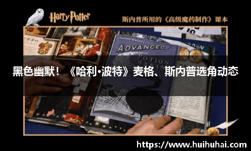 黑色幽默！《哈利·波特》麦格、斯内普选角动态